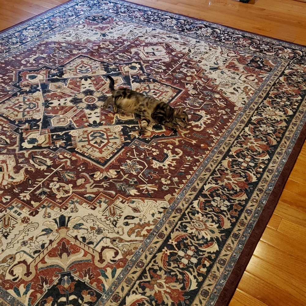 Ruggable 8x10 Rea Rug - top only